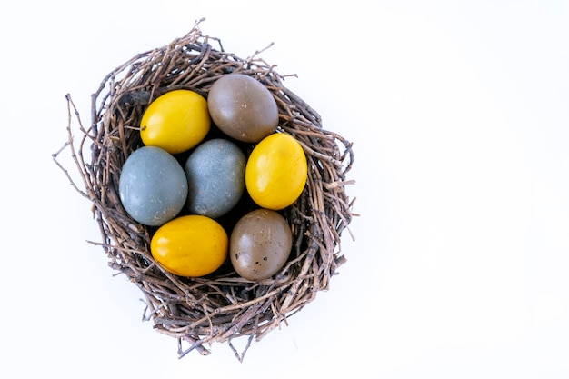 Decorated Easter eggs in hand-made birds nest lined on isolated white background.