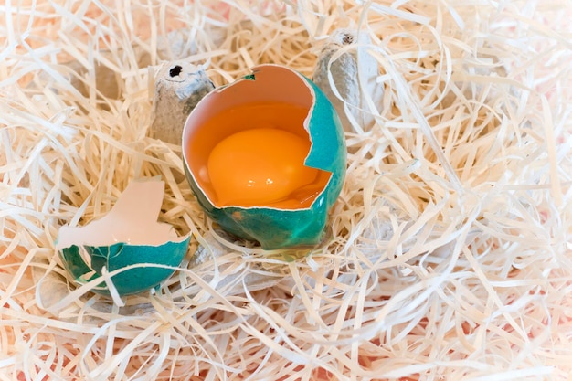 Decorated egg showing its yolk