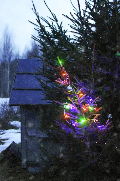 Украшенная ель на открытом воздухе на фоне небольшого деревянного игрушечного домика. Зимние праздники праздничный фон.