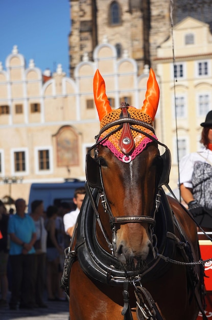 Foto una carrozza decorata con cavalli per le strade della città di praga, nella repubblica ceca, nel su