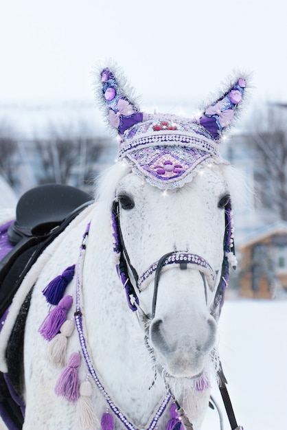 decorated horse harnessed to a cart in the city