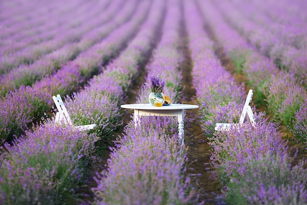 Decorated table and chairs in between lavender patches