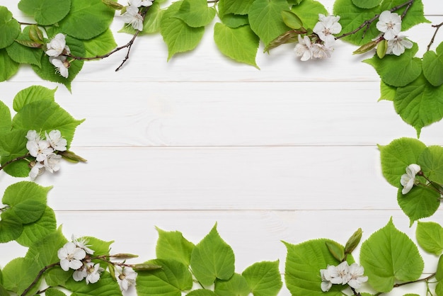 Decoratief frame van groene bladeren en witte bloemen