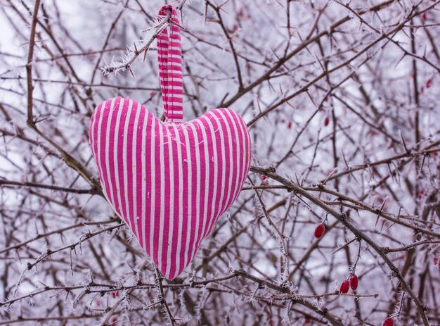 Foto decoratief hart op boomtak buitenshuis