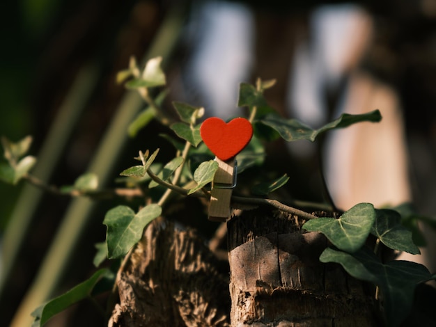 Decoratief rood hart tussen boombladeren