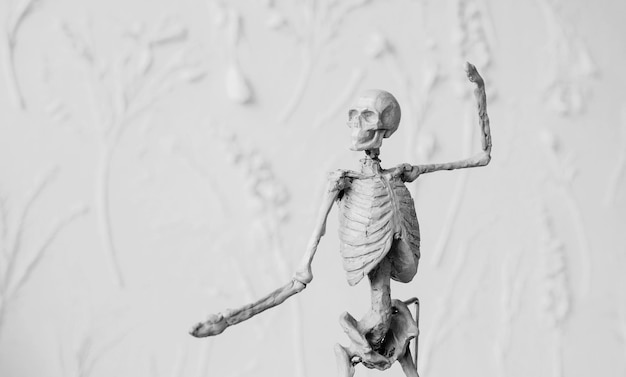 Decoratief skeletfiguur