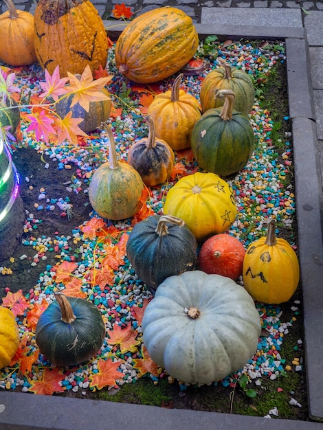 Foto decoraties voor halloween op de straat bij het restaurant herfst feest decoraties