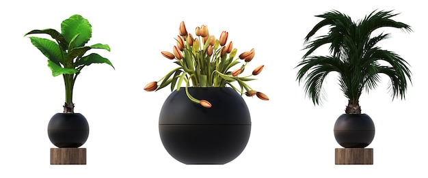 decoratieve bloemen en planten voor het interieur, geïsoleerd op een witte achtergrond, 3D illustratie, cg re