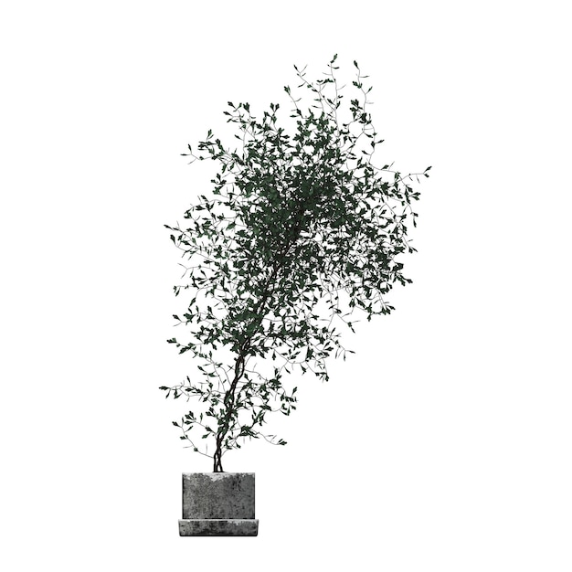 decoratieve bloemen en planten voor het interieur, geïsoleerd op een witte achtergrond, 3D illustratie, cg re