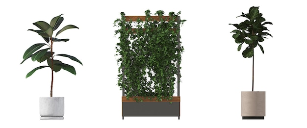 decoratieve bloemen en planten voor het interieur, geïsoleerd op een witte achtergrond, 3D illustratie