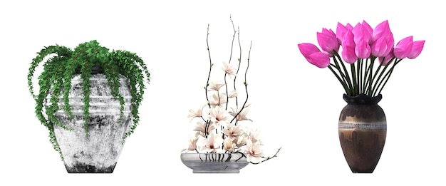 decoratieve bloemen en planten voor het interieur geïsoleerd op witte achtergrond 3D illustratie cg re