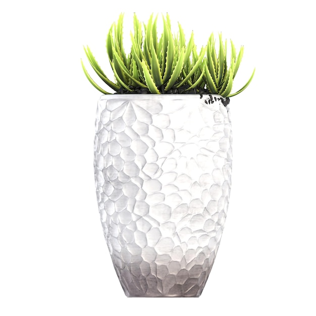 decoratieve bloemen en planten voor het interieur geïsoleerd op witte achtergrond 3D illustratie cg re