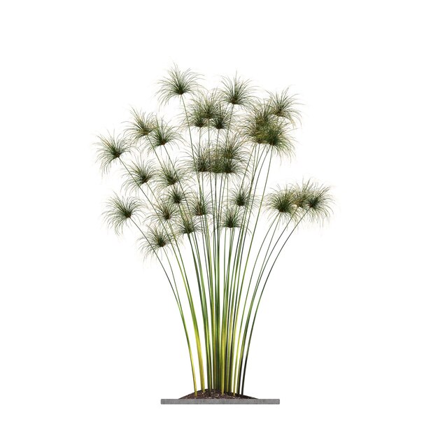 decoratieve bloemen en planten voor het interieur geïsoleerd op witte achtergrond 3D illustratie cg re