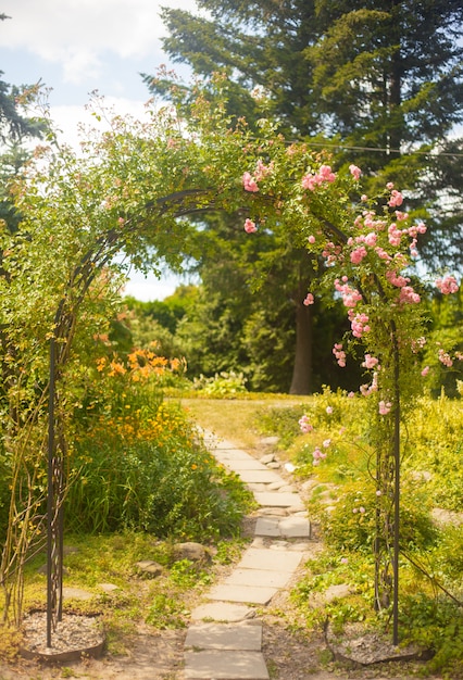 Decoratieve boog met rozen in de zomertuin