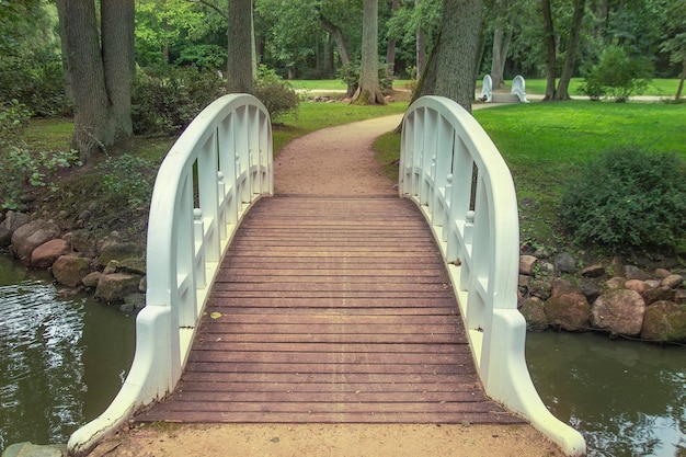 Decoratieve brug engelenvleugels in het park over de kreek