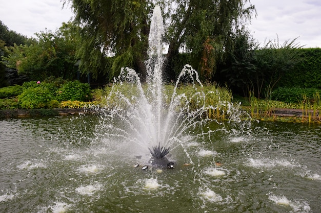 Foto decoratieve fontein op een vijver met veel jets tegen een achtergrond van bomen