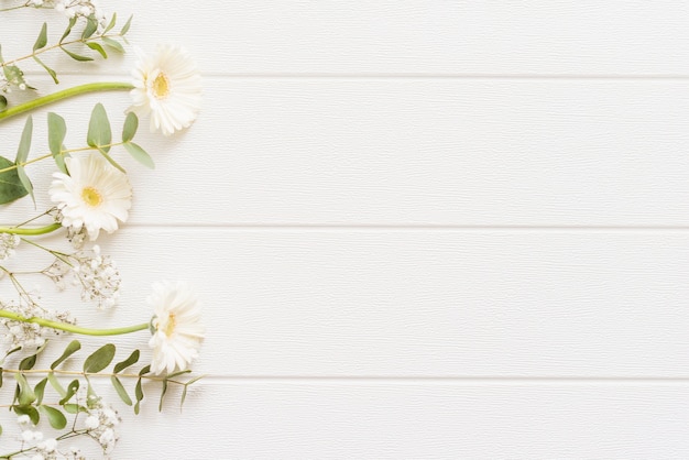 Decoratieve kleurrijke madeliefjebloemen op een achtergrond