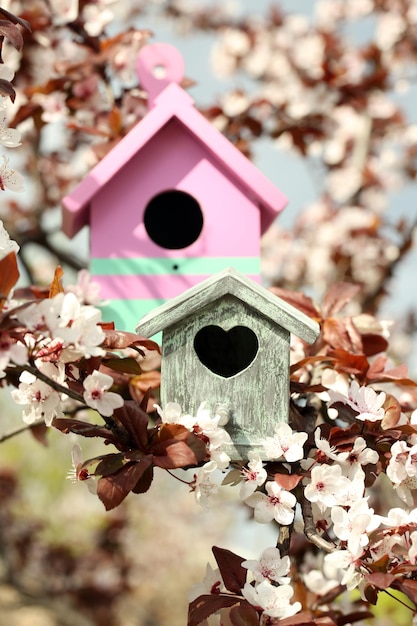 Foto decoratieve nestkasten op lichte achtergrond