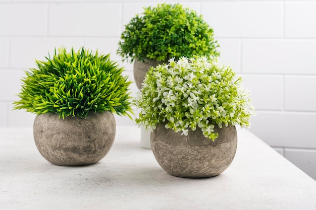 Decoratieve planten op keukentafel