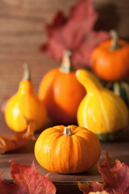 Decoratieve pompoenen en herfstbladeren voor halloween