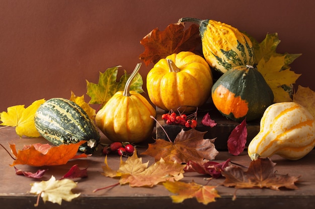 Decoratieve pompoenen en herfstbladeren voor halloween
