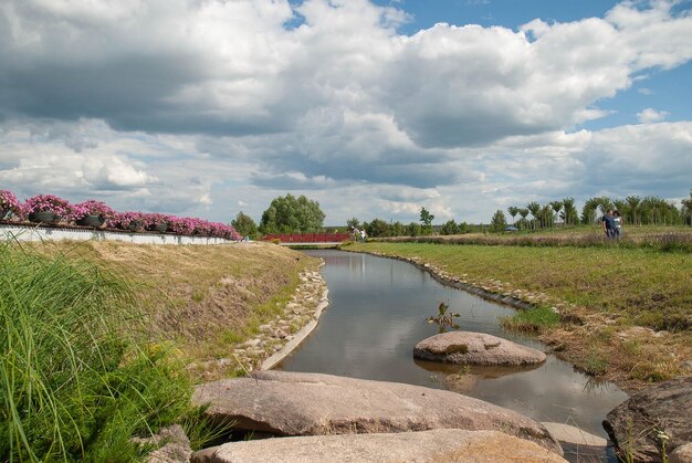 Decoratieve stroom in het park op een zomerse dag