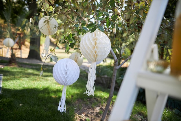 decoratieve witte papieren ballen in de tuin