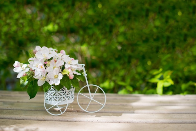 Decoratieve witte retro fiets met appelbloemen op greensunny achtergrond