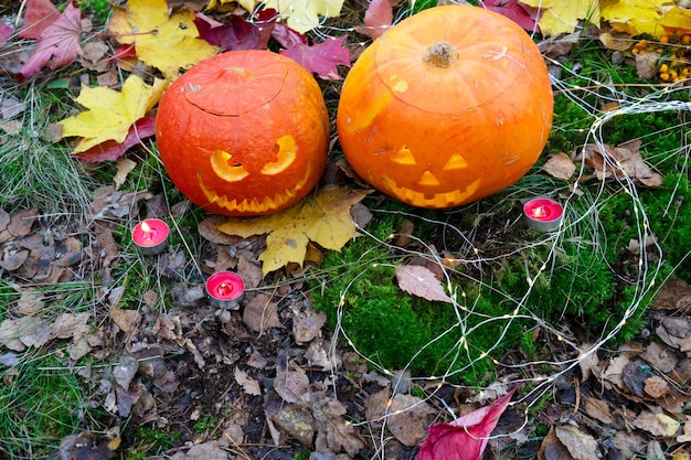 ハロウィンガーデンの飾りつけ