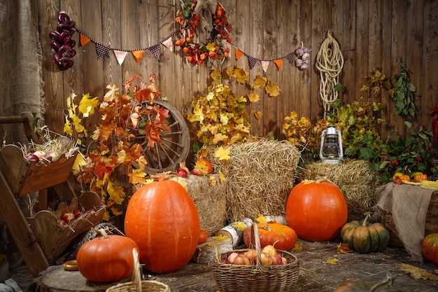 Photo decoration autumn hay pumpkins and autumn gifts