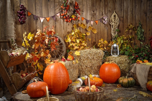 Decoration autumn hay pumpkins and autumn gifts