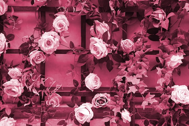 Decoration urban art object from colorful elegant flowers on wall image toned in viva magenta color