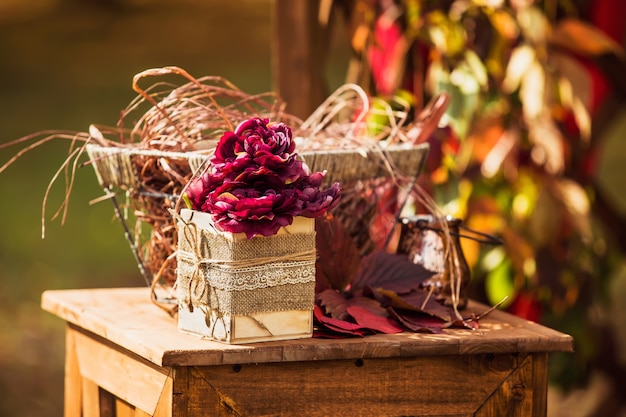 Photo decoration for the wedding ceremony in the park in autumn