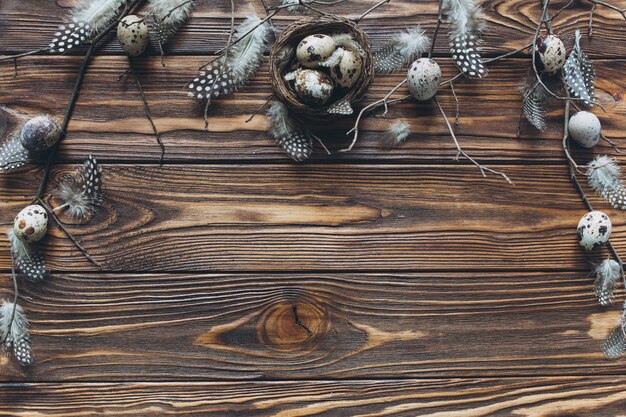 Photo decoration with quail eggs, nest and feathers.