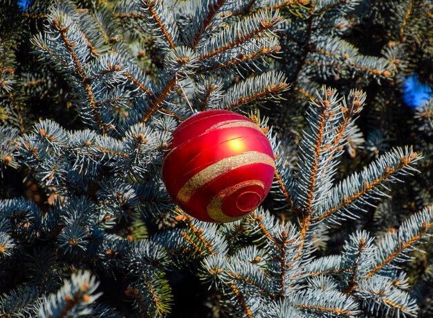 Декорации новогодней елки Окраска и игрушки Шари и другие украшения на рождественской елке Рождество стоит на открытом воздухе