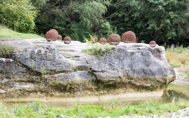 Foto decorazioni su rocce nella foresta