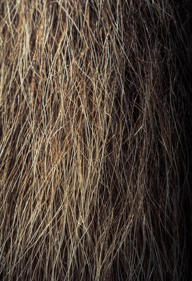 फोटो decorative animal fur as a background texture