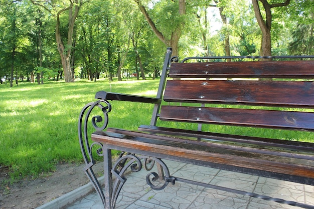 decorative bench in the beautiful park with many green trees