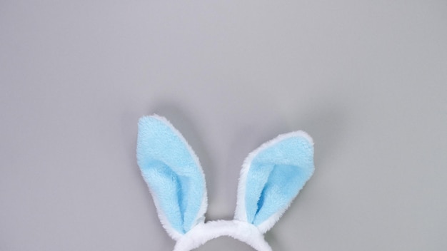 Decorative blue bunny ears furry fluffy costume toy on trendy grey background Happy Easter