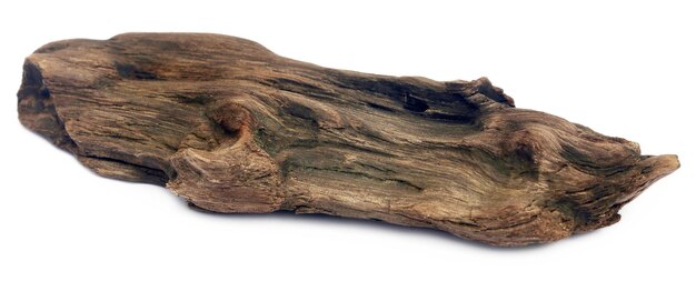 Decorative bogwood isolated over white background