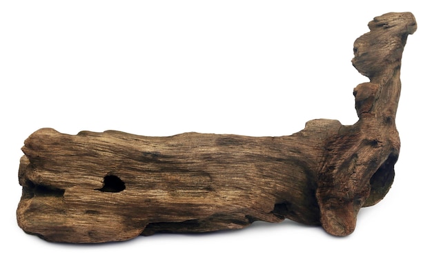 Decorative bogwood sculpture over white background