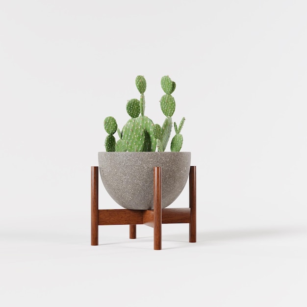 Decorative cactus tree planted concrete pot isolated on white background.