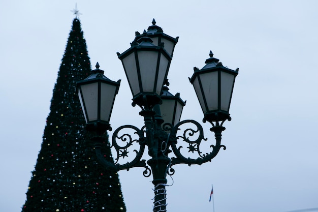 Decorative city lamps and Christmas tree