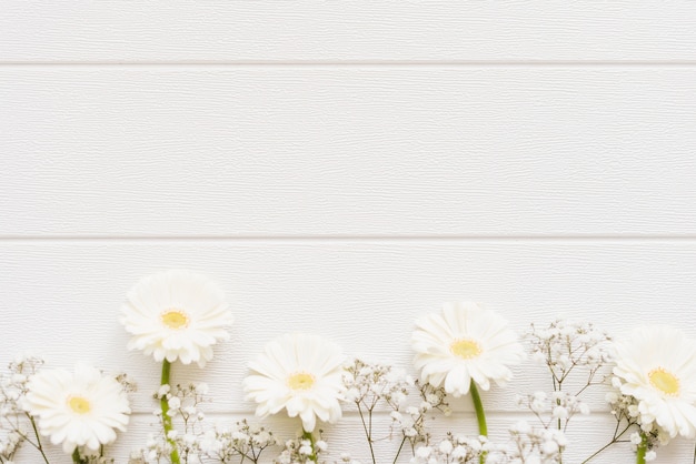 decorative colorful daisy flowers on a background