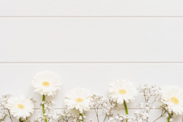 Photo decorative colorful daisy flowers on a background