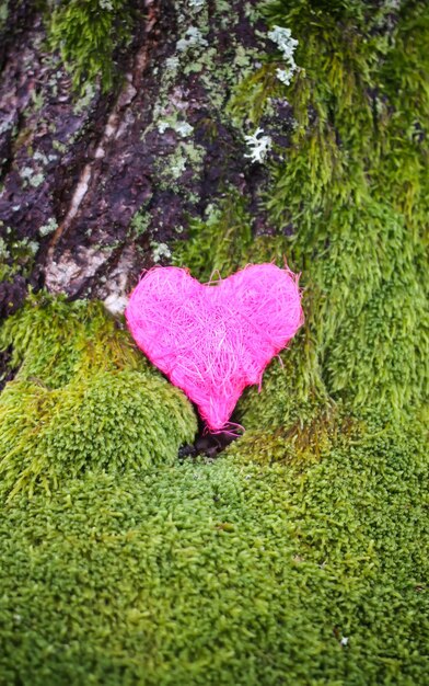 Decorative colorful heart on green moss in park.