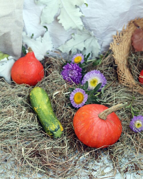 Decorative composition of pumpkins seasonal vegetables autumn leaves illumination Halloween