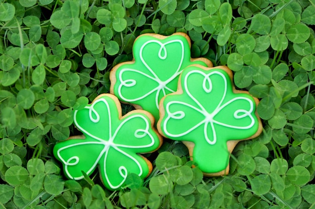 Decorative cookies on clover leaves Saint Patrics Day concept