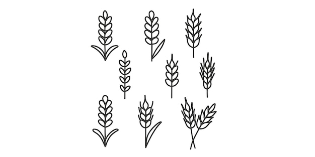 decorative doodle wheat set