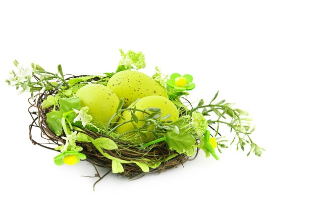 Decorative easter nest with eggs